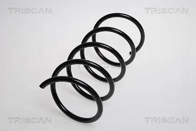 MUELLE DE SUSPENSIÓN