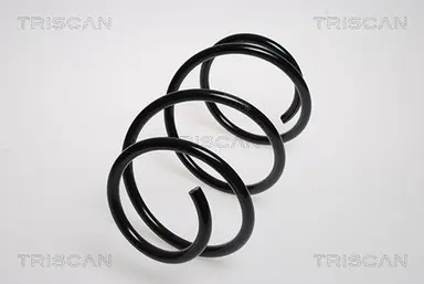 MUELLE DE SUSPENSIÓN