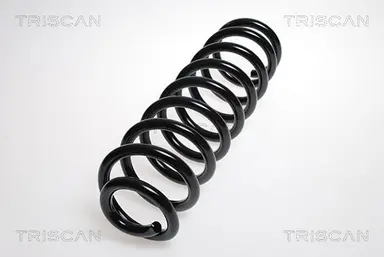 MUELLE DE SUSPENSIÓN