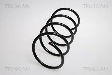 MUELLE DE SUSPENSIÓN