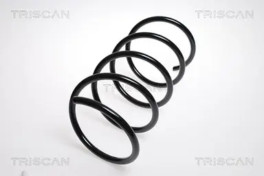 MUELLE DE SUSPENSIÓN