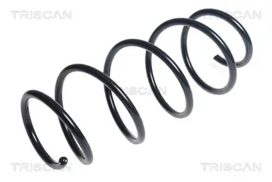 MUELLE DE SUSPENSIÓN