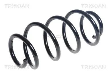 MUELLE DE SUSPENSIÓN