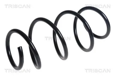 MUELLE DE SUSPENSIÓN