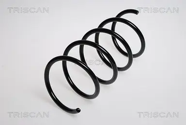 MUELLE DE SUSPENSIÓN