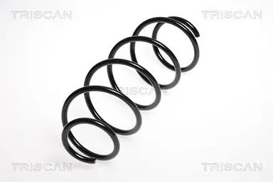 MUELLE DE SUSPENSIÓN