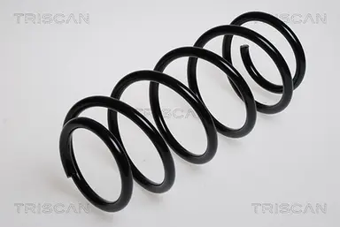 MUELLE DE SUSPENSIÓN