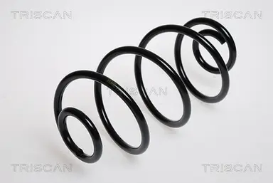 MUELLE DE SUSPENSIÓN