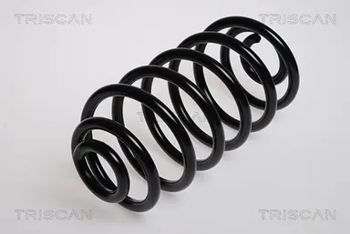 MUELLE DE SUSPENSIÓN