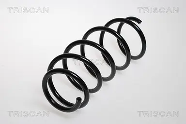 MUELLE DE SUSPENSIÓN