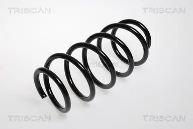 MUELLE DE SUSPENSIÓN