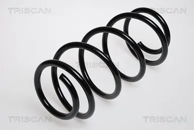 MUELLE DE SUSPENSIÓN