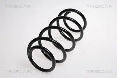 MUELLE DE SUSPENSIÓN