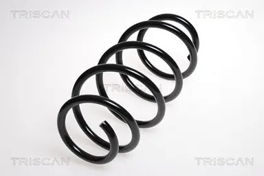 MUELLE DE SUSPENSIÓN