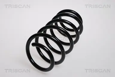 MUELLE DE SUSPENSIÓN