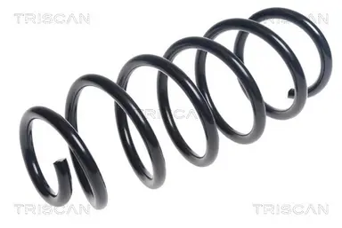 MUELLE DE SUSPENSIÓN