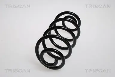 MUELLE DE SUSPENSIÓN