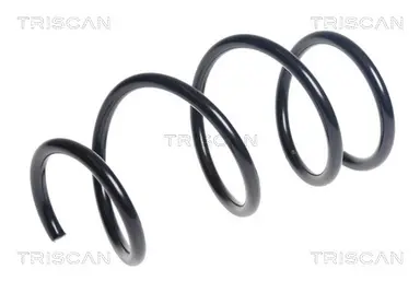 MUELLE DE SUSPENSIÓN