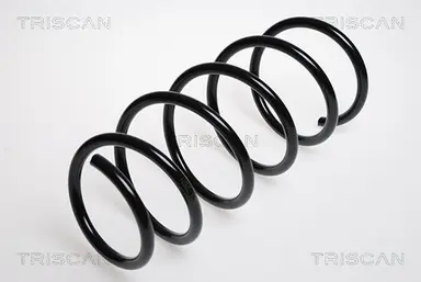 MUELLE DE SUSPENSIÓN