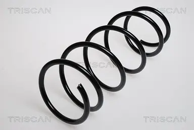 MUELLE DE SUSPENSIÓN