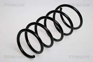 MUELLE DE SUSPENSIÓN