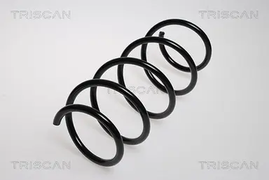 MUELLE DE SUSPENSIÓN