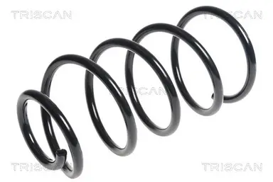 MUELLE DE SUSPENSIÓN