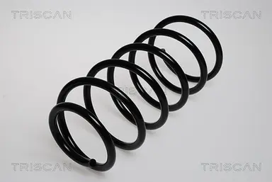 MUELLE DE SUSPENSIÓN