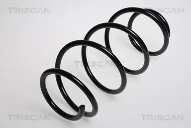 MUELLE DE SUSPENSIÓN