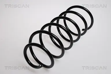 MUELLE DE SUSPENSIÓN