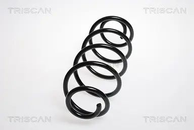 MUELLE DE SUSPENSIÓN