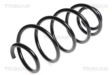 MUELLE DE SUSPENSIÓN