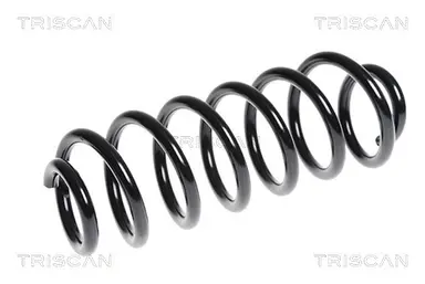 MUELLE DE SUSPENSIÓN