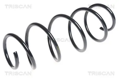 MUELLE DE SUSPENSIÓN