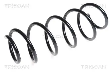 MUELLE DE SUSPENSIÓN