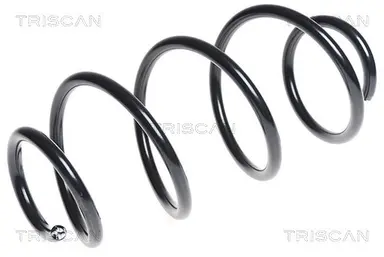 MUELLE DE SUSPENSIÓN