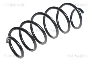 MUELLE DE SUSPENSIÓN