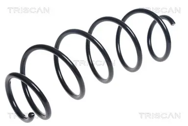 MUELLE DE SUSPENSIÓN