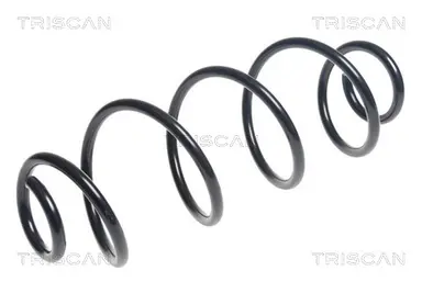 MUELLE DE SUSPENSIÓN