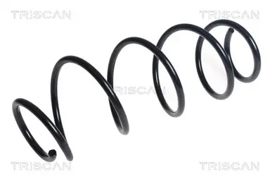 MUELLE DE SUSPENSIÓN