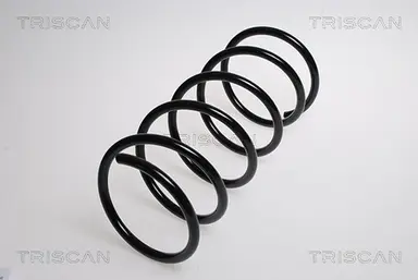 MUELLE DE SUSPENSIÓN