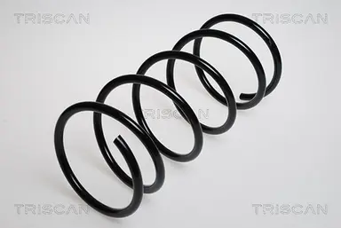 MUELLE DE SUSPENSIÓN