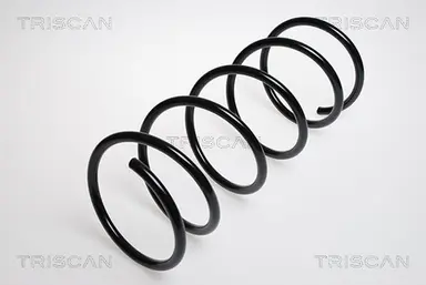 MUELLE DE SUSPENSIÓN