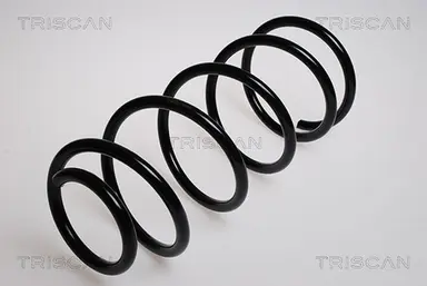 MUELLE DE SUSPENSIÓN