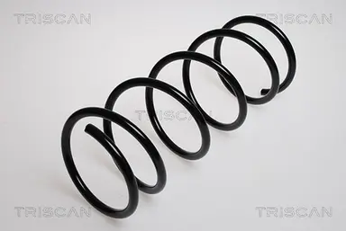 MUELLE DE SUSPENSIÓN