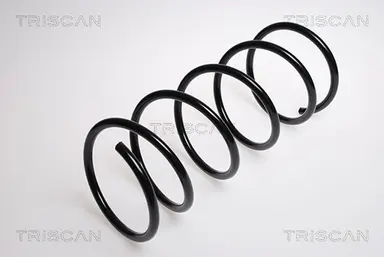 MUELLE DE SUSPENSIÓN