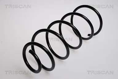 MUELLE DE SUSPENSIÓN