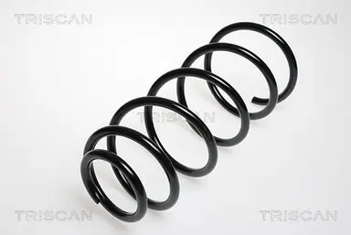 MUELLE DE SUSPENSIÓN