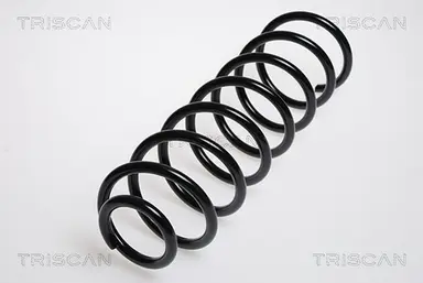 MUELLE DE SUSPENSIÓN