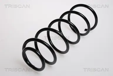 MUELLE DE SUSPENSIÓN